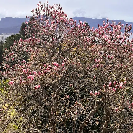 招待所 Del Castanar 3*