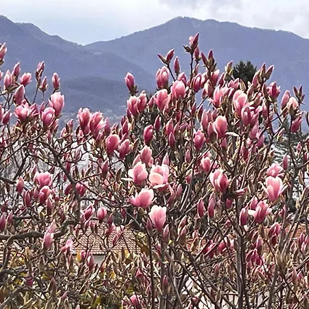 招待所 Del Castanar Maccagno